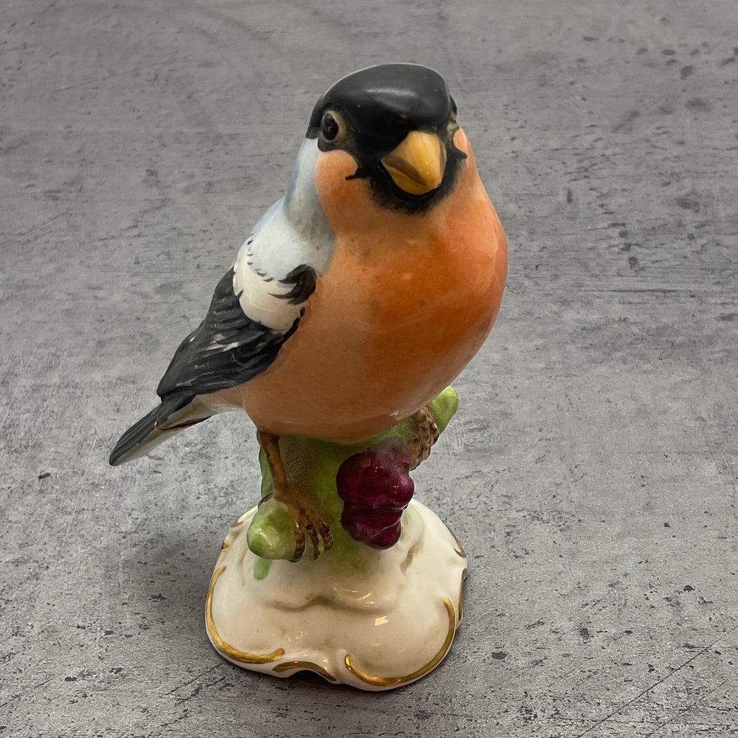 Rotkehlchen Vogel Dekoration Figur, Dresdner  Porzellan